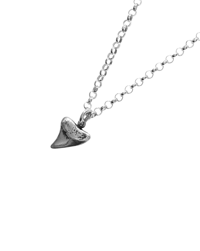 Shark Tooth Necklace