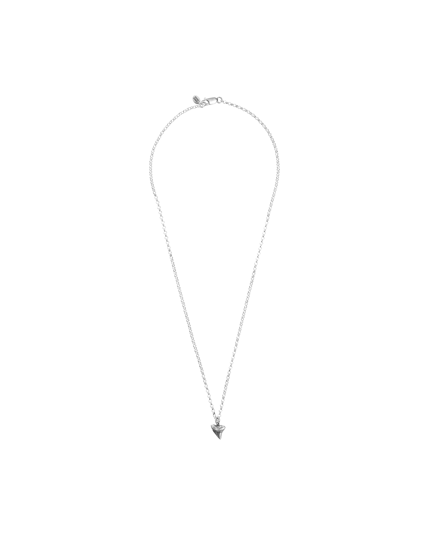 Shark Tooth Necklace